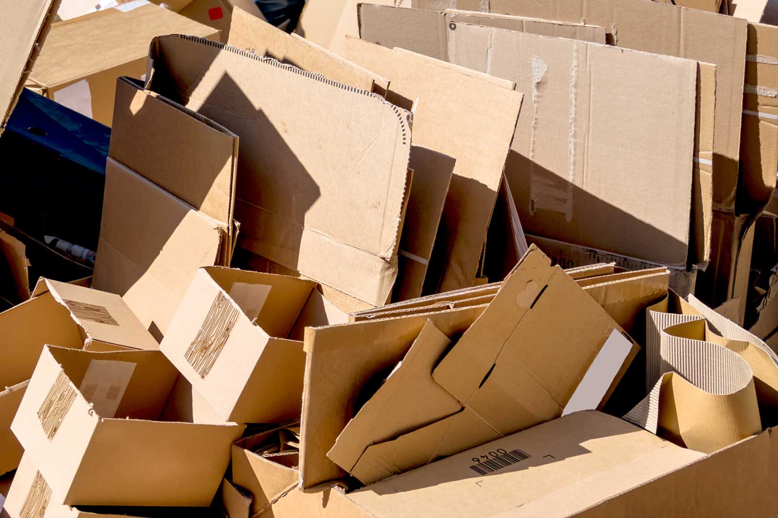 Carton Boxes Recycling Centre